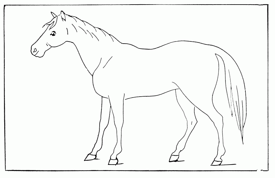 Coloreaza calul din plansa alaturata