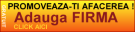 promovare gratuita magazine online, promovare site,