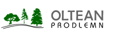 Oltean Prodlemn 
