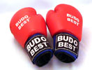 budo3 budo3